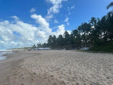 Tropical beach with palm trees Stock Photos