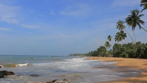 Tropical beach with palm trees in Sri Lanka Stock Footage 202412531