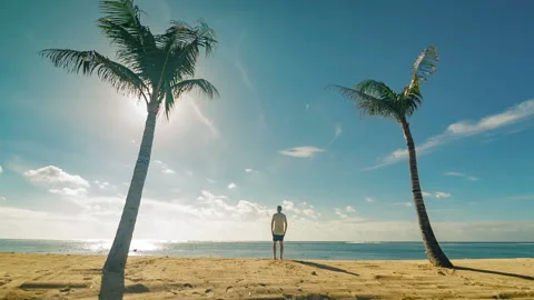 Tropical beach palm trees view with man relaxation Stock Footage 98764383