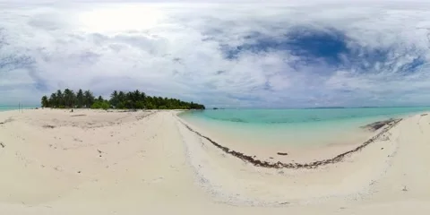Tropical beach with palm trees. Virtual Reality 360. 8k Video. Stock Footage 231950329