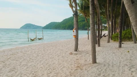 Tropical beach with palm trees, white sand and two hammocks hanging over the Stock Footage 312813563