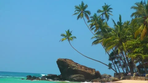 Tropical Beach with Palms 스톡 동영상 61753576