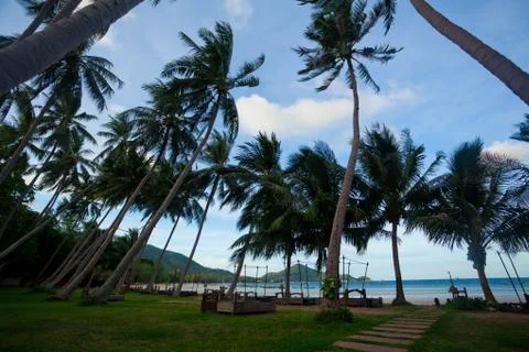 Tropical beach with palms Stock Photos