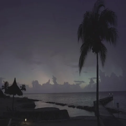 Tropical Beach With Palms Trees and Dock at Sunset Stock Footage 69671545