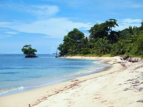Tropical beach in panama Stock Photos