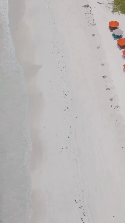 Tropical Beach Panorama. Drone Captures Lively Seaside Resort Atmosphere Vídeo Stock 334627785