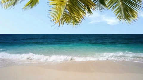 Tropical Beach Paradise Stock-Footage 308429059