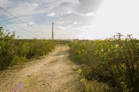 Tropical Beach Path Stockfoto's