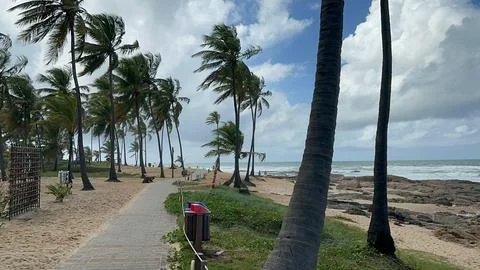 Tropical beach path scene Stock Photos