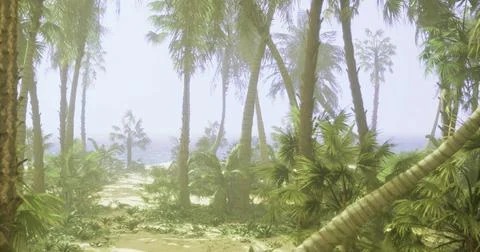 Tropical beach path surrounded by lush greenery on a sunny day Stock Illustration