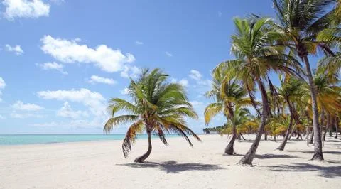Tropical beach Stock Photos