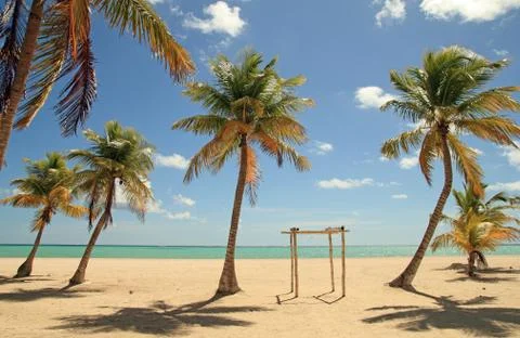 Tropical beach Stock Photos