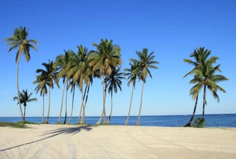 Tropical beach Stock Photos