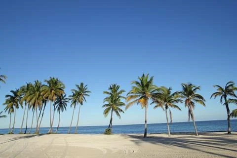 Tropical beach Stock Photos