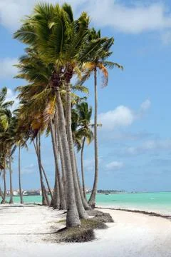 Tropical beach Stock Photos