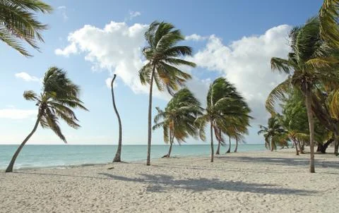 Tropical beach Stock Photos