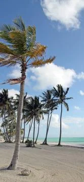 Tropical beach Stock Photos