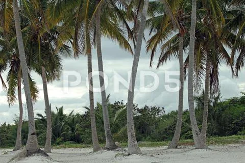 Tropical beach Stock Photos