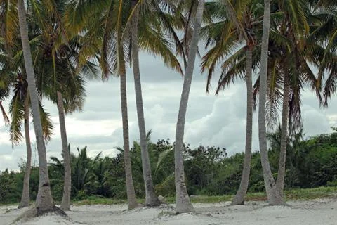 Tropical beach Stock-Fotos