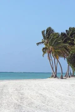 Tropical beach Stock Photos