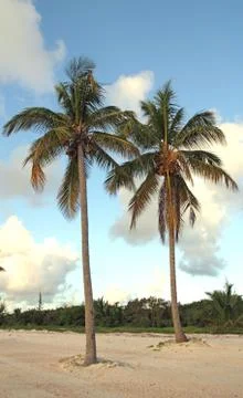 Tropical beach Foto stock