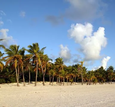 Tropical beach Stock Photos