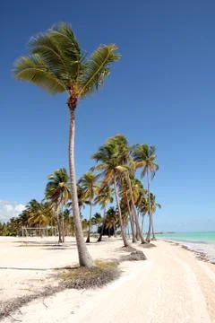 Tropical beach Stock Photos