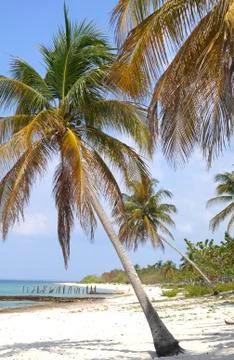 Tropical beach Foto stock