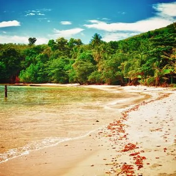 Tropical beach Stock Photos