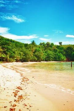 Tropical beach Stock Photos