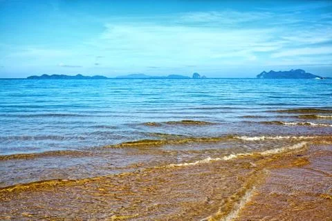 Tropical beach Stock Photos