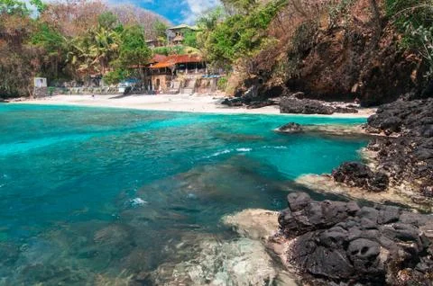 Tropical beach Фото