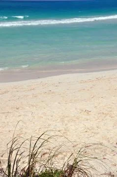 Tropical beach Stock Photos