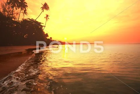 Tropical beach Stock Photos