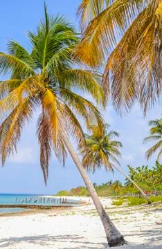 Tropical beach Stock Photos