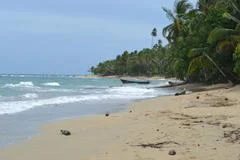 Tropical beach Stock Photos