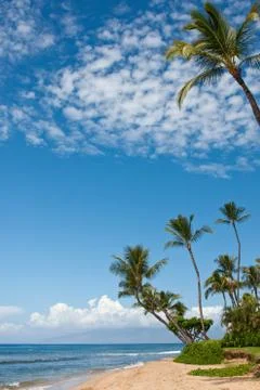 Tropical beach Stock Photos