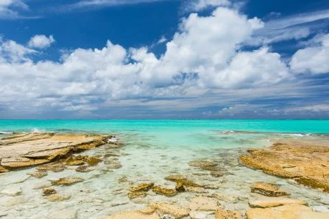 Tropical beach Stock Photos