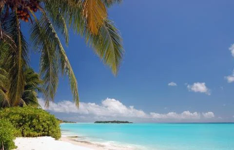 Tropical beach Stock Photos