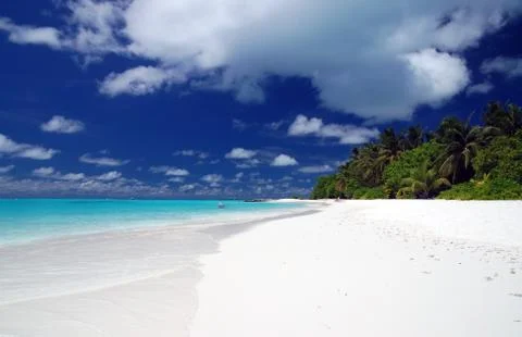 Tropical beach Stock Photos