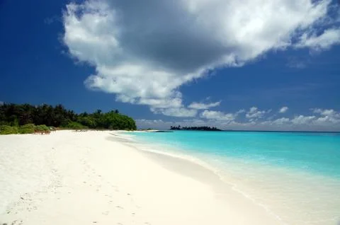 Tropical beach Stock Photos