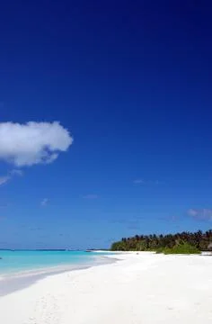 Tropical beach Stock Photos