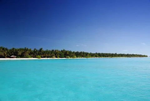 Tropical beach Stock Photos