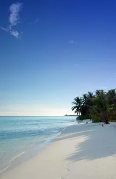 Tropical beach Stock Photos