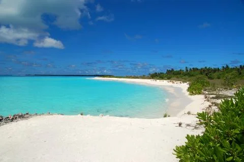 Tropical beach Stock Photos