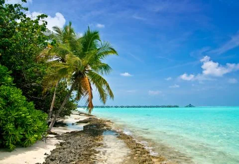 Tropical beach Stock Photos