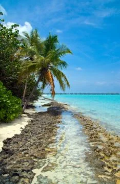 Tropical beach Stock Photos