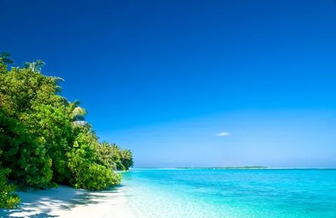 Tropical beach Stock Photos