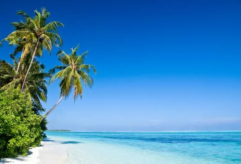 Tropical beach Stock Photos