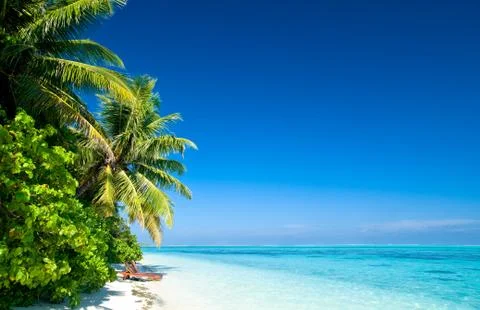 Tropical beach Stock Photos